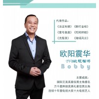 歐陽震華